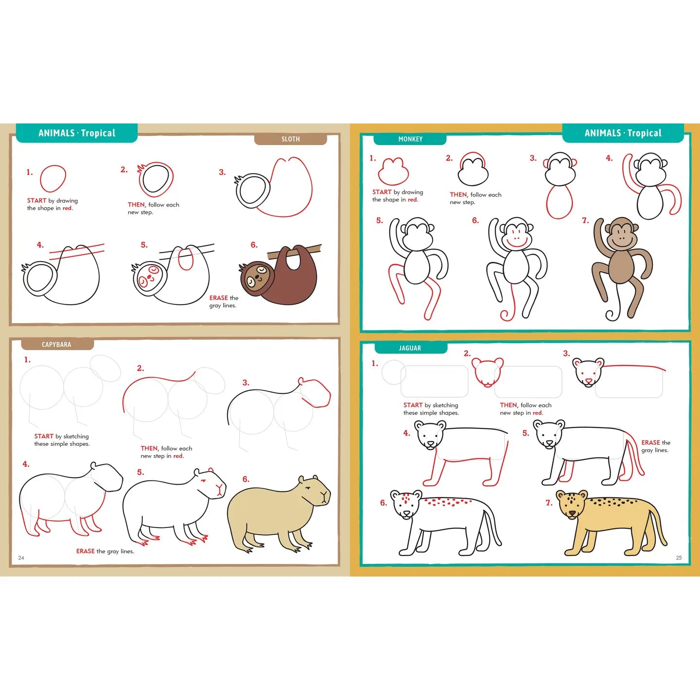 Learn To Draw...Everything Book