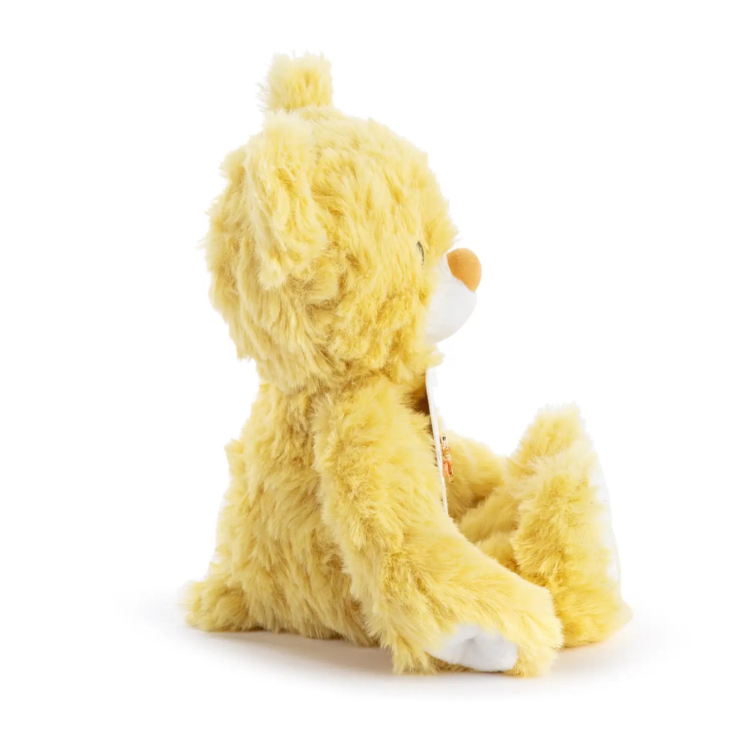 You Are My Sunshine Bear