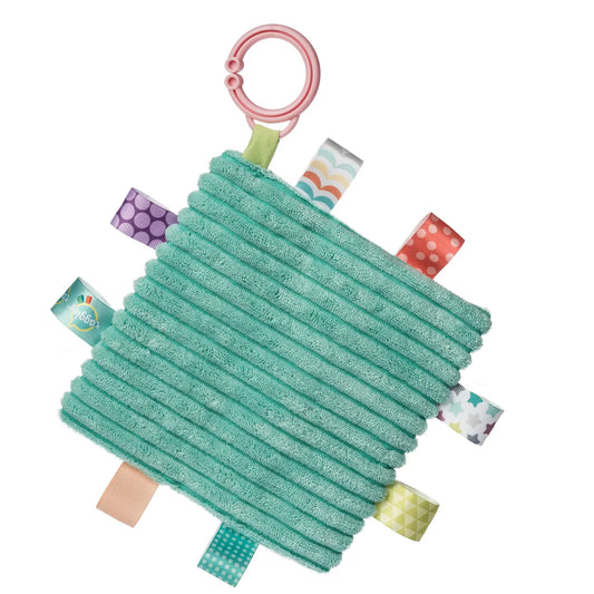 Taggies Turtle Crinkle