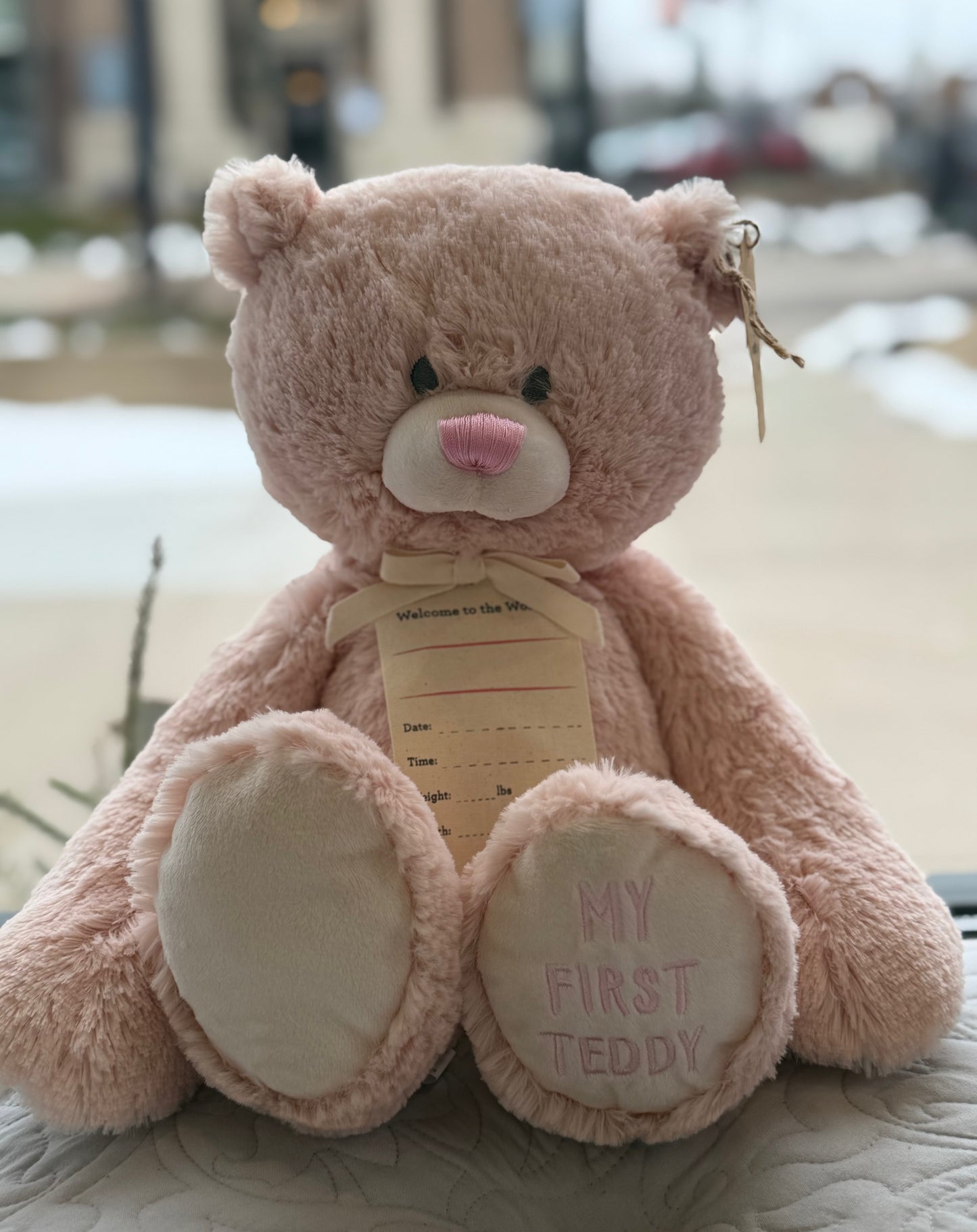 Pink My First Teddy Bear