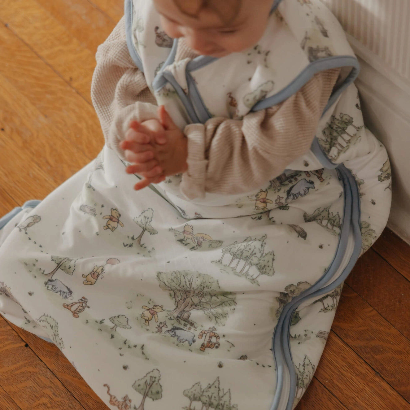 Hundred Acre Wood Sleep Bag