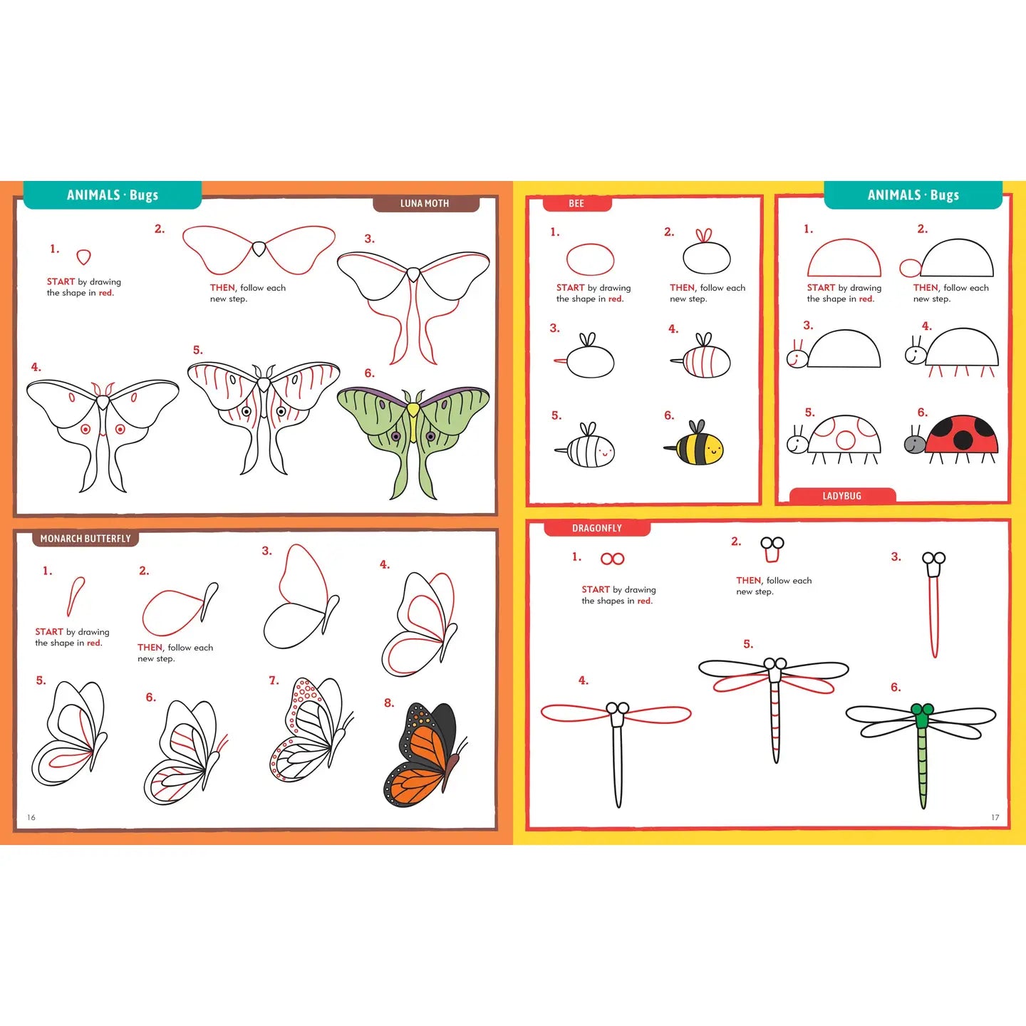 Learn To Draw...Everything Book